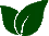 leaf icon